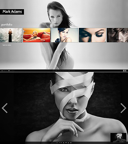 Website Template #38714