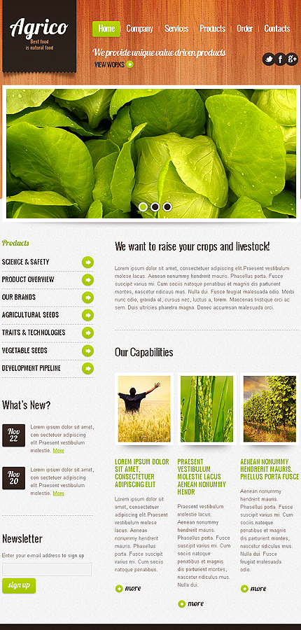 Website Template #38799