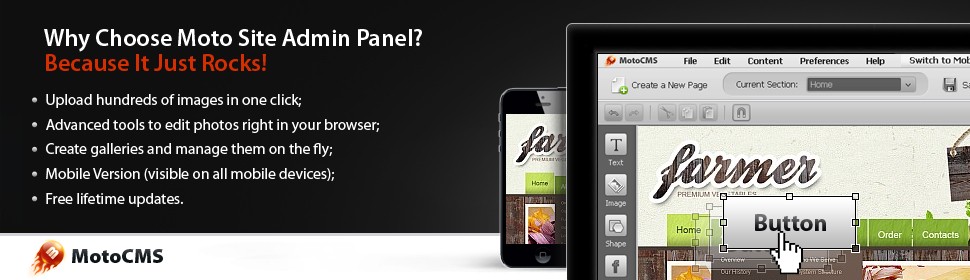 Website Template #38884