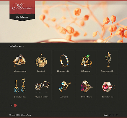 Jewelry Website Template #38901