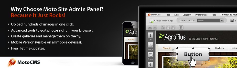 Website Template #38993