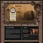 Website #3917