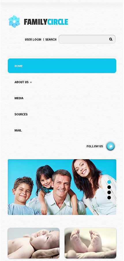 Website Template #39061