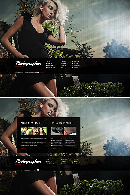 Website Template #39176