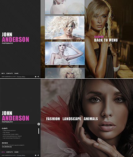 Website Template #39537