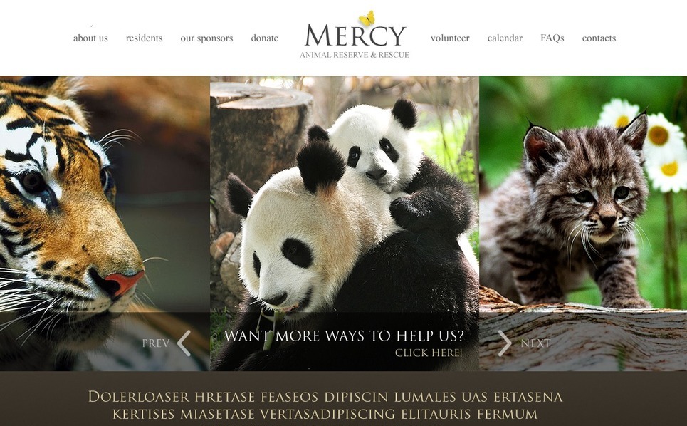 Animals & Pets Website Template #39619