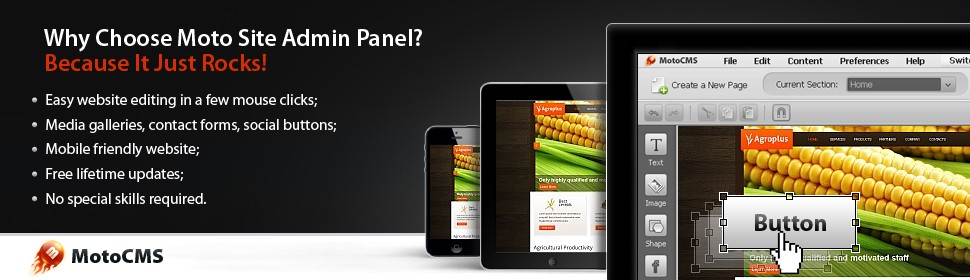 Website Template #39711
