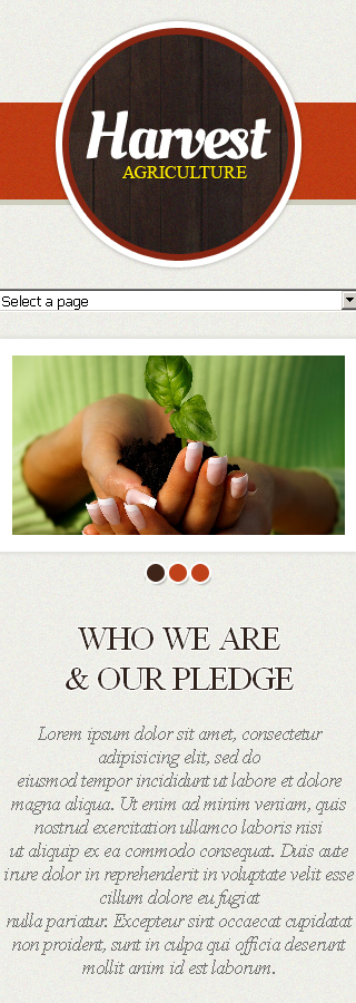 Website Template #39740