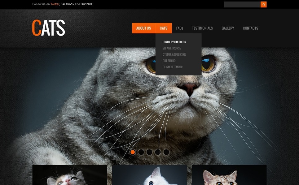 Cat site Template 39922