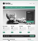 Website Template  #39971