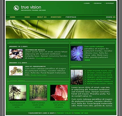 Website Template #4037