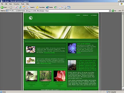 Website Template #4037