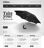 Website Template  #40317