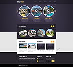 Website Template  #41406