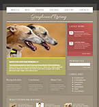 WordPress Theme  #41501