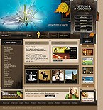Website #4222