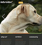 Facebook HTML CMS Template #42201