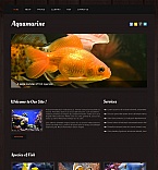 Moto CMS HTML #42693