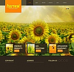 Moto CMS HTML #42698
