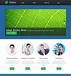 Moto CMS HTML #42701