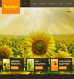 Facebook HTML CMS Template #42760