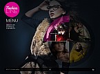 Flash CMS Template #42910