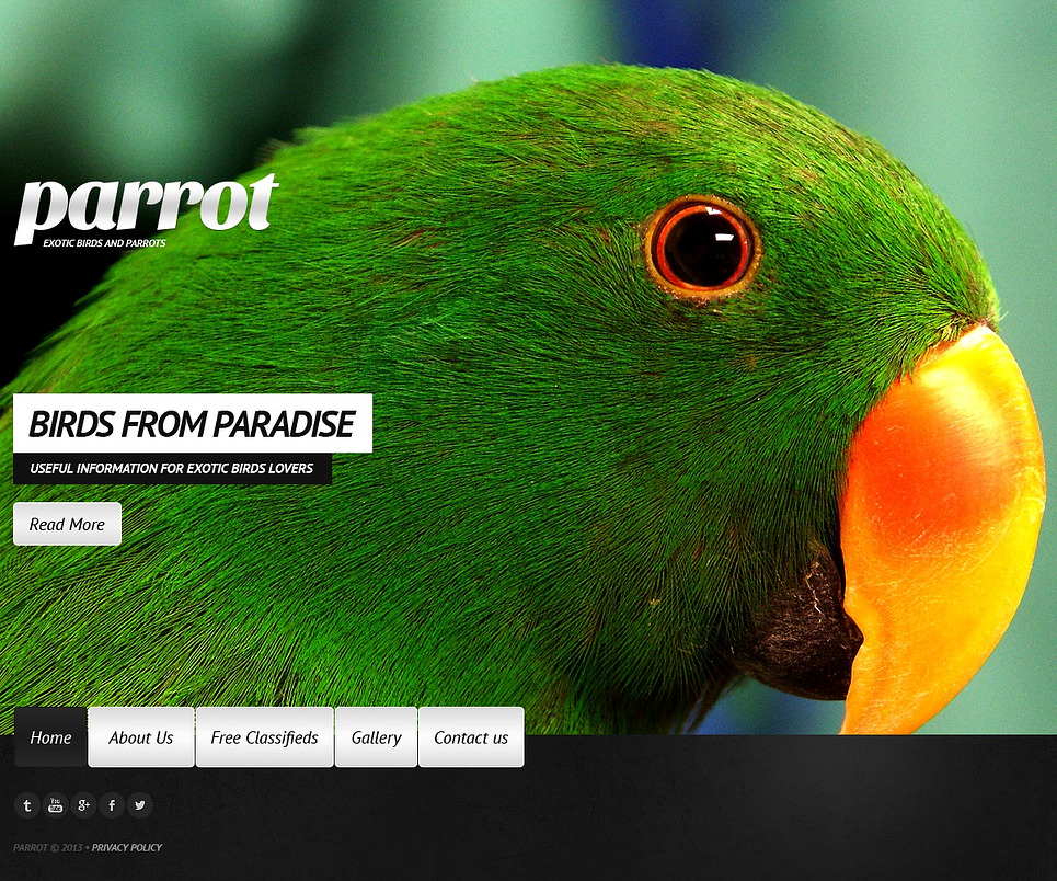 Birds Website Template 43178