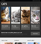 WordPress #43277