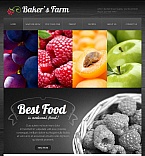 Facebook HTML CMS Template #43535
