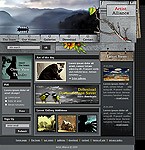 Website #4455