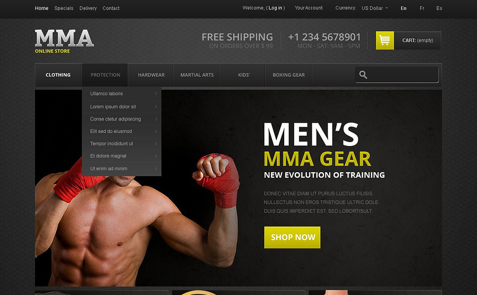 Martial Arts Store Theme 44000