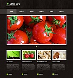Moto CMS HTML #44221