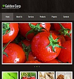 Facebook HTML CMS Template #44244
