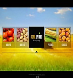 Facebook HTML CMS Template #44247