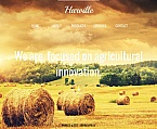 Moto CMS HTML #44347