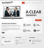 Moto CMS HTML #44458