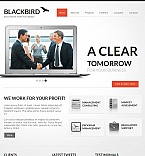 Facebook HTML CMS Template #44479