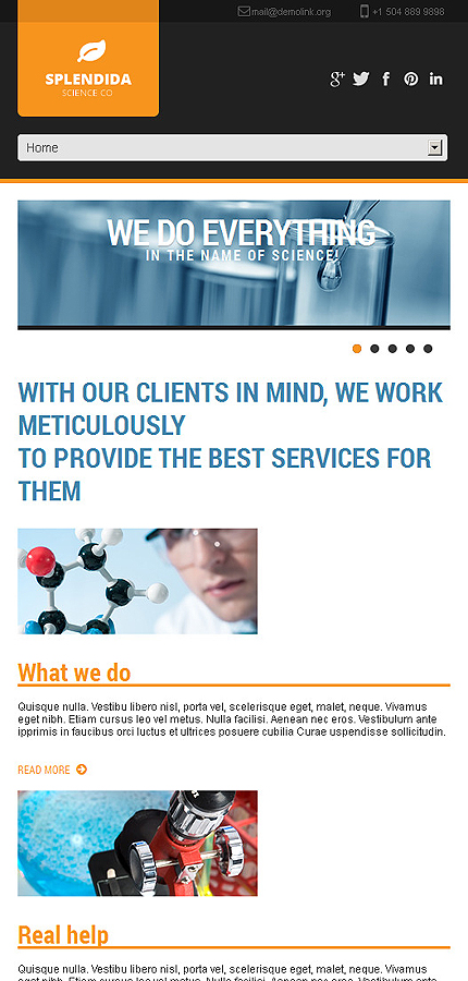 Website Template #44519