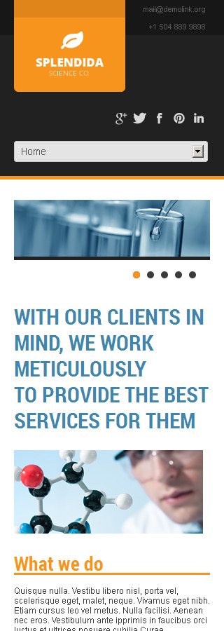 Website Template #44519