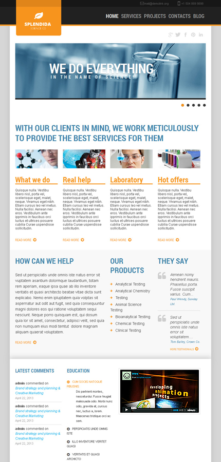 Website Template #44519