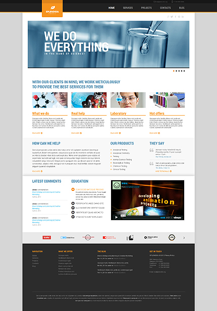 Website Template #44519