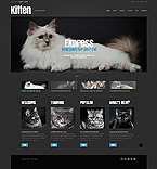 WordPress #44902
