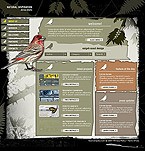 Website #4552