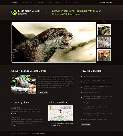 Moto CMS HTML Templates