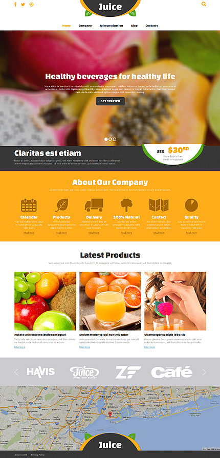 Website Template #47909