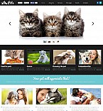 Flash CMS Template  #50467