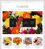 Website Template  #50971