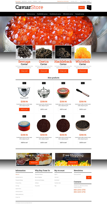 Magento Main Page  preview