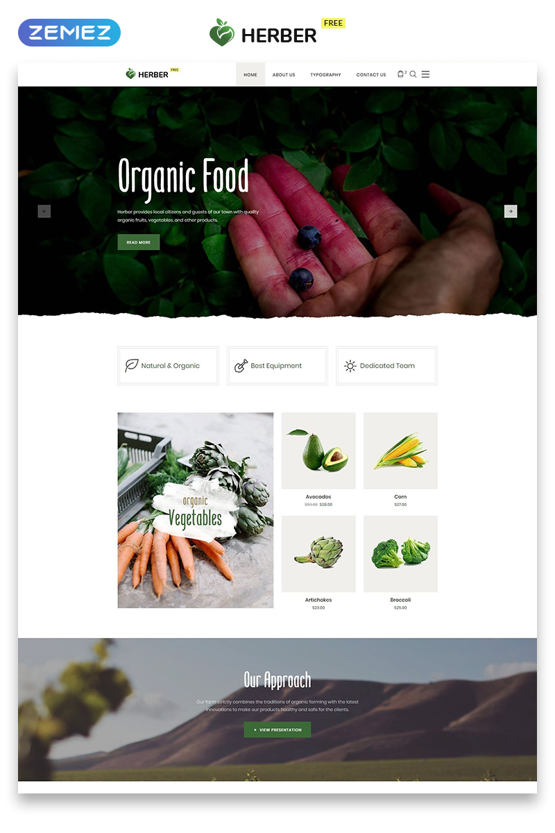 Free Website Template For Food Delivery