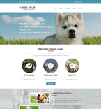 Website Template  #51752